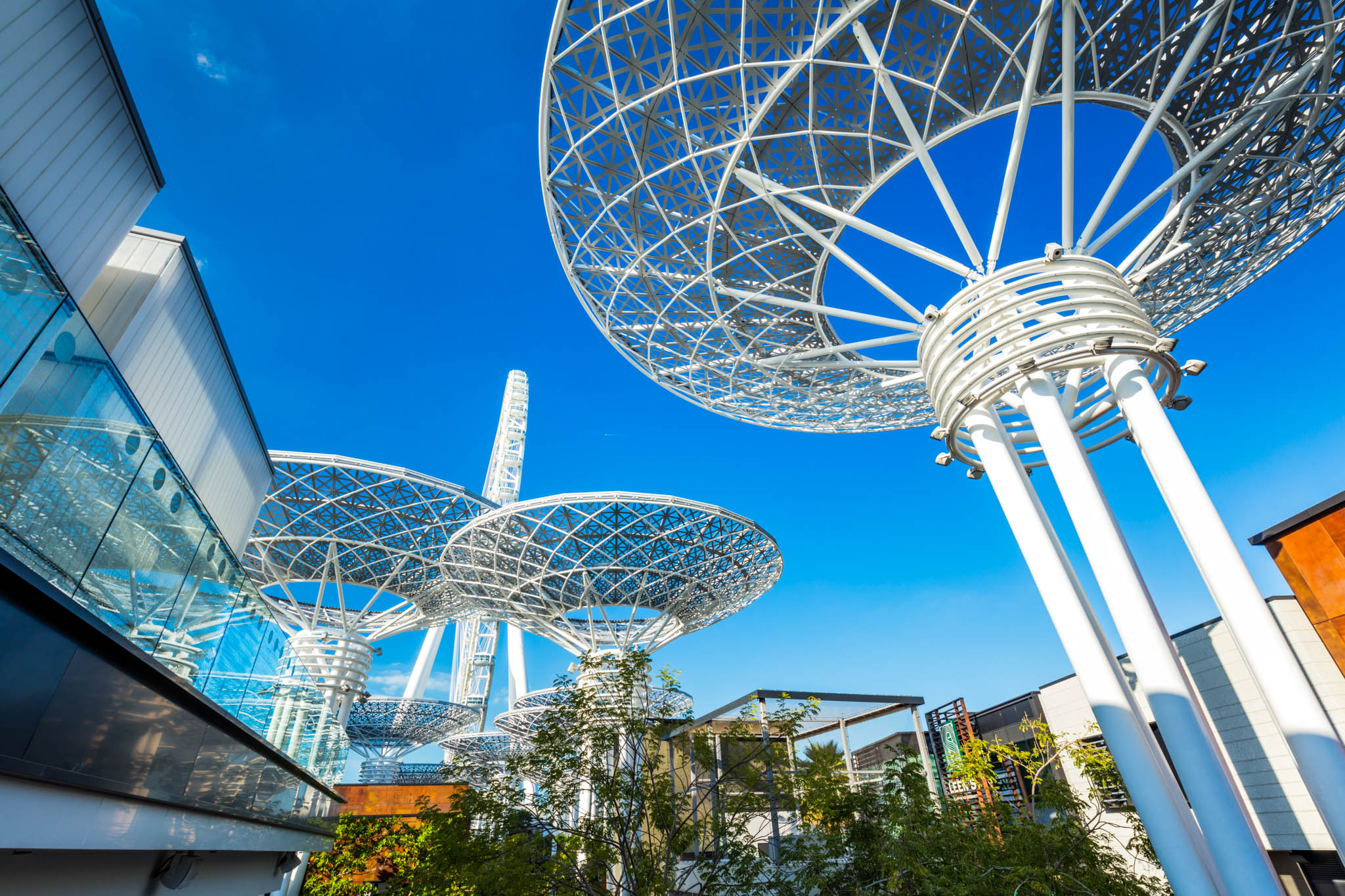 9 Best Eco-Friendly Neighborhoods to Live in Dubai