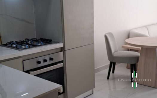FULLY FURNISHED 1 BHK IN DOWNTOWN JEBEL ALI