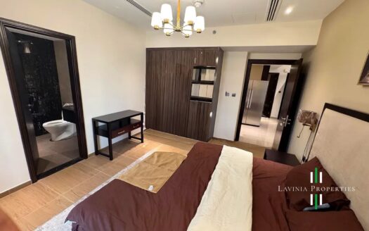 PRIME LOCATION | 3BHK APARTMENT | ELITE DOWNTOWN