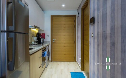 MULTIPLE CHEQUES FULLY FURNISHED STUDIO APARTMENT