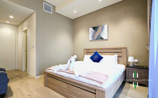 FULLY FURNISHED 1 BHK | EXCELLENT BUILT QUALITY
