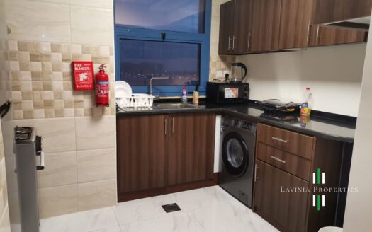 MULTIPLE OPTIONS | FULLY FURNISHED 1BHK | 1 CHEQUE