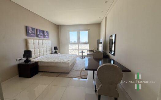 SPACIOUS FULLY FURNISHED STUDIO APARTMENT