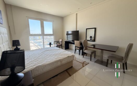 SPACIOUS FULLY FURNISHED STUDIO APARTMENT