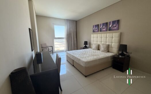 FULLY FURNISHED 1 BHK | WELL MAINTAINED | READY