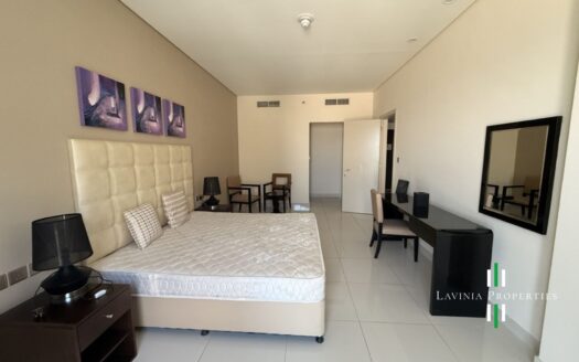 FULLY FURNISHED 1 BHK | WELL MAINTAINED | READY