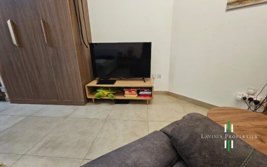 GREAT LOCATION | FULLY FURNISHED STUDIO | SPACIOUS