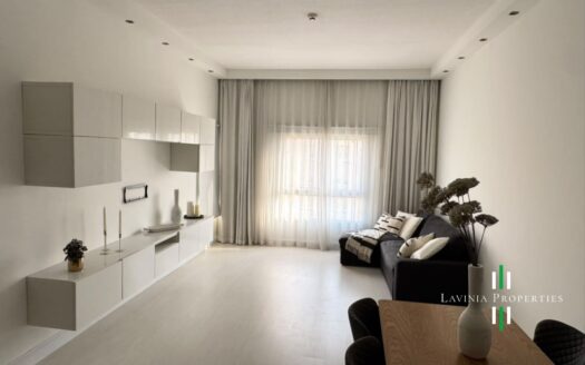 BRIGHT & SPACIOUS FULL-FURNISHED 1BHK | 12 CHEQUES