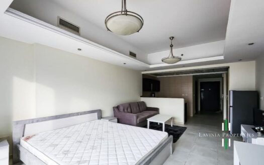 FULLY FURNISHED | CLOSE TO METRO STATION | VACANT