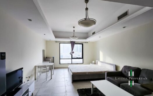 FULLY FURNISHED | CLOSE TO METRO STATION | VACANT